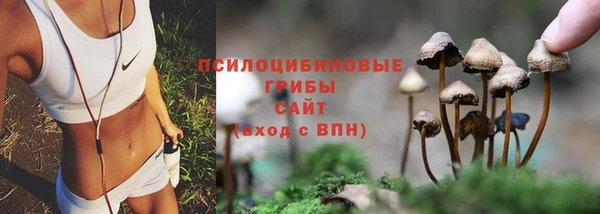 трава Абаза