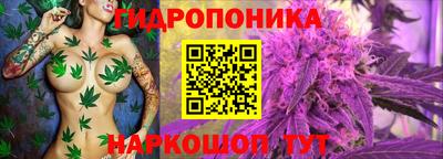 apvp Рузаевка