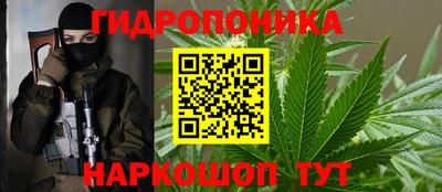 крисы Рязань
