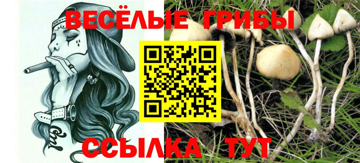 Псилоцибиновые грибы Psilocybe  Псилоцибиновые грибы MAGIC MUSHROOMS  Вход с VPN  Шадринск 
